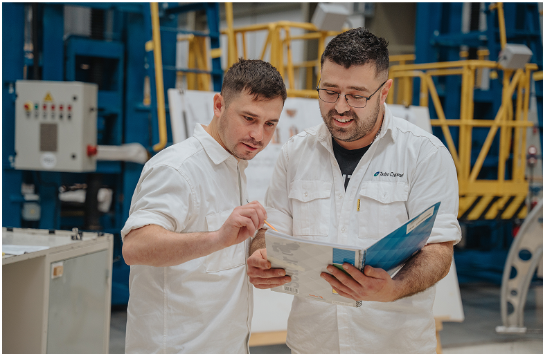 acordeon programa de mejora continua